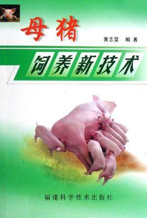 母猪饲养新技术