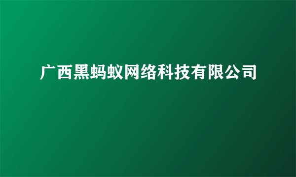 广西黑蚂蚁网络科技有限公司