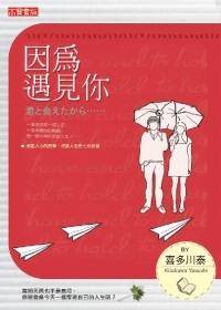 因为遇见你（2009年英属维京群岛商高宝国际出版的图书）