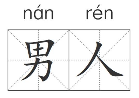 男人（具有XY染色体的人）