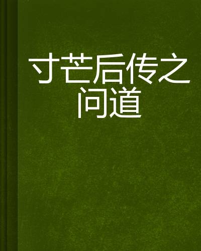 寸芒后传之问道