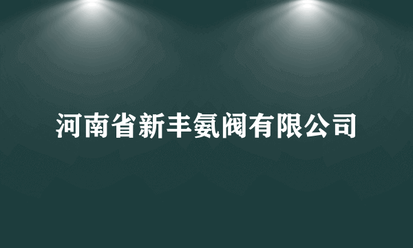 河南省新丰氨阀有限公司