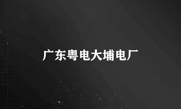 广东粤电大埔电厂