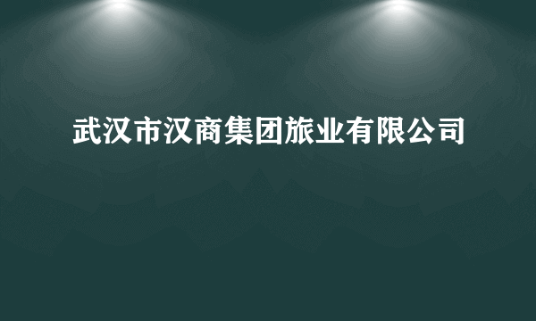 武汉市汉商集团旅业有限公司
