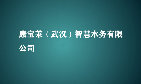 康宝莱（武汉）智慧水务有限公司