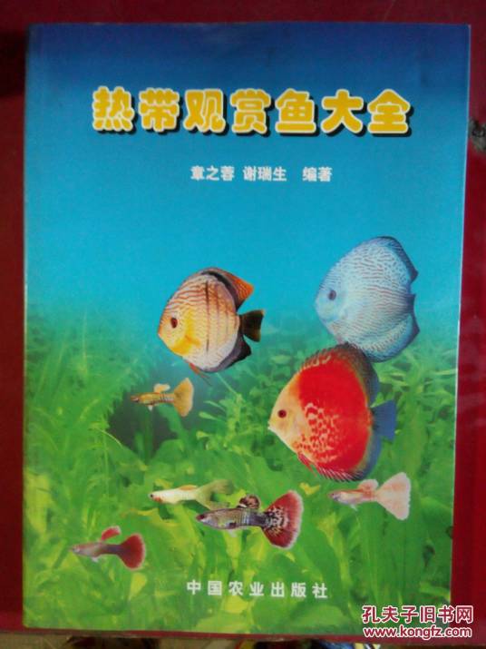 热带观赏鱼大全