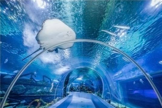 临沂海洋世界主题公园