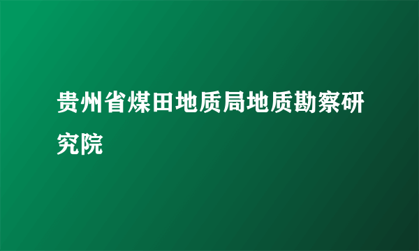 贵州省煤田地质局地质勘察研究院