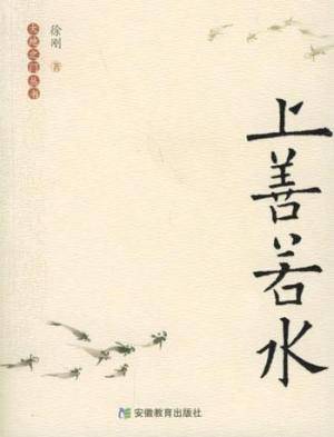 上善若水（2008年江苏文艺出版社出版的图书）