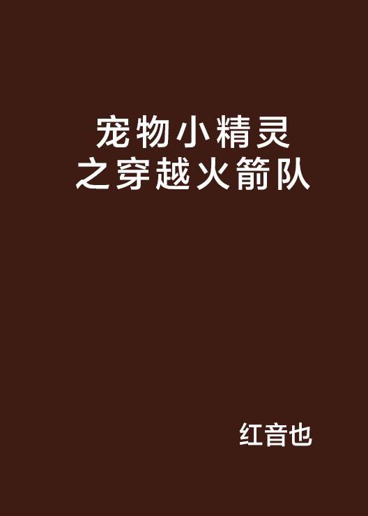 宠物小精灵之穿越火箭队