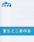 重生之三妻四妾