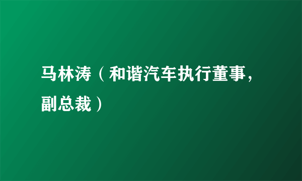 马林涛（和谐汽车执行董事，副总裁）