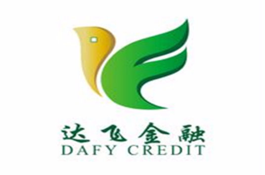 深圳前海达飞金融服务有限公司