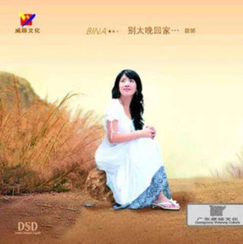 我的爱有罪（碧娜演唱歌曲）