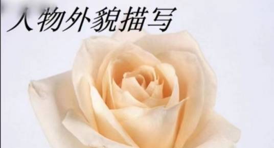 人物外貌描写