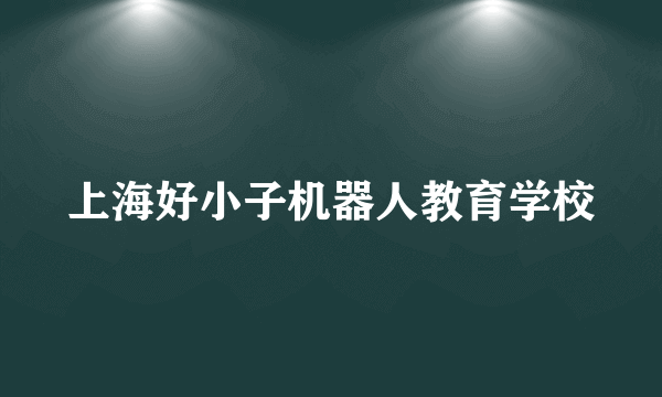 上海好小子机器人教育学校
