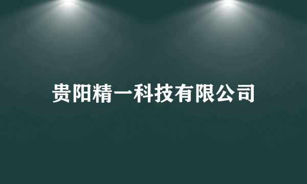 贵阳精一科技有限公司
