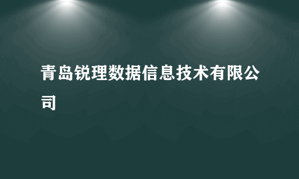 青岛锐理数据信息技术有限公司