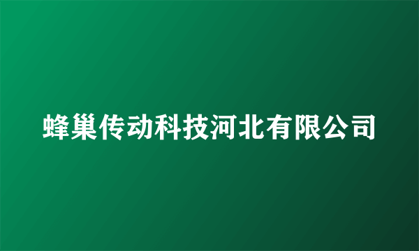 蜂巢传动科技河北有限公司