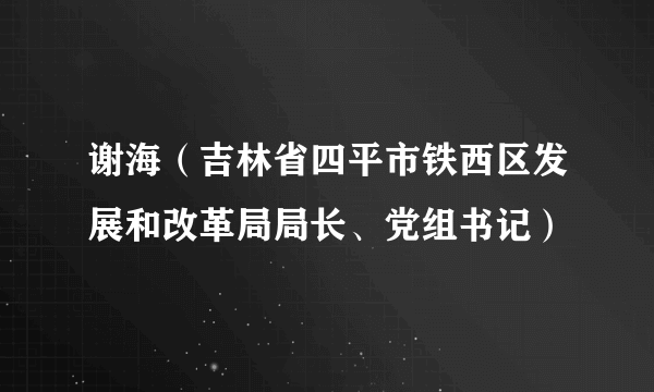 谢海（吉林省四平市铁西区发展和改革局局长、党组书记）