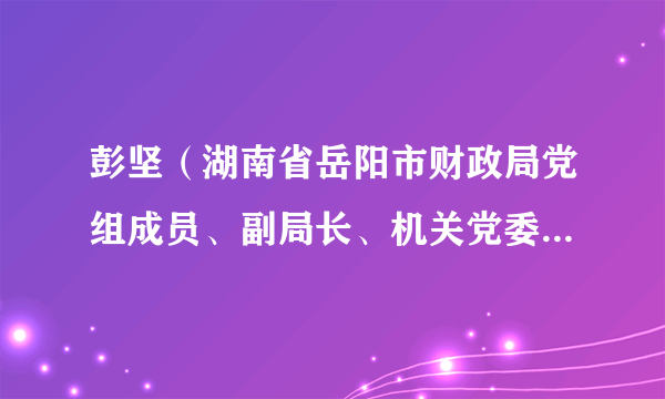 彭坚（湖南省岳阳市财政局党组成员、副局长、机关党委书记、三级调研员）