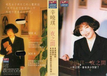 一夜之间（辛晓琪音乐专辑）