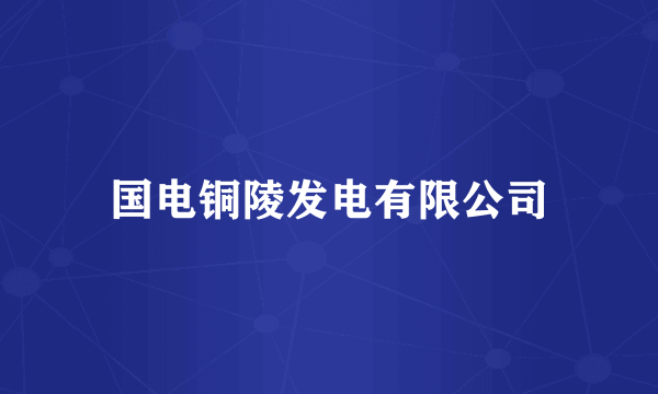 国电铜陵发电有限公司