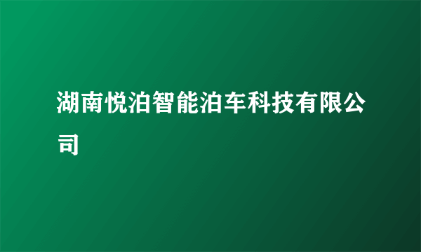 湖南悦泊智能泊车科技有限公司
