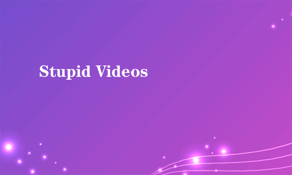 Stupid Videos