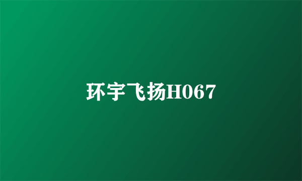 环宇飞扬H067