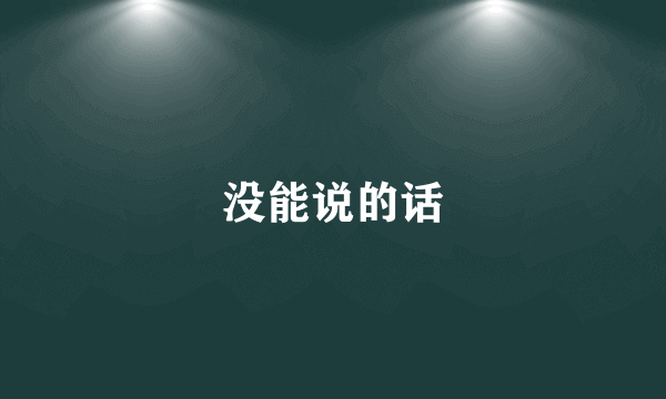 没能说的话