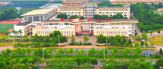 狮山中心小学