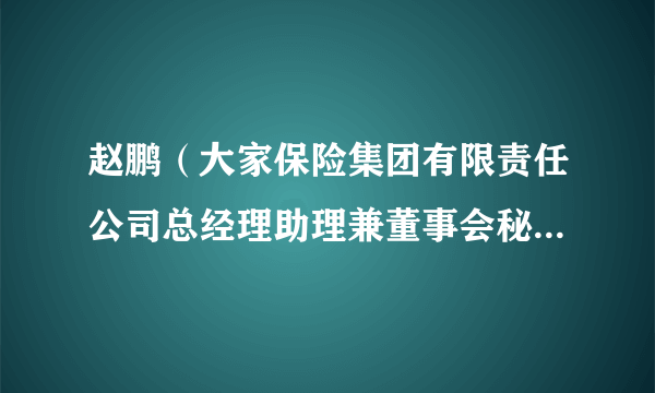 赵鹏（大家保险集团有限责任公司总经理助理兼董事会秘书、民生银行董事）