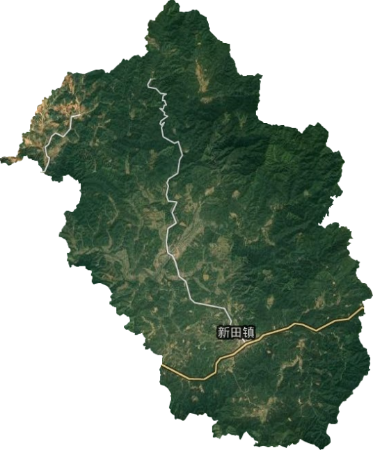 新田镇（江西省信丰县下辖镇）