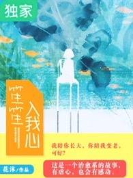 笙笙入我心（北以创作的网络小说作品）