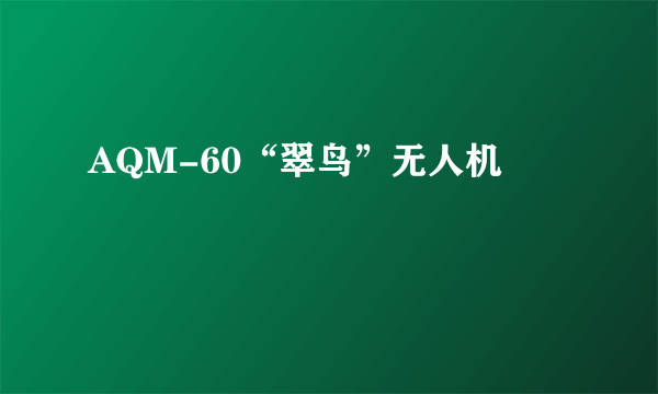 AQM-60“翠鸟”无人机