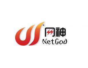 武汉网神通信息科技有限公司