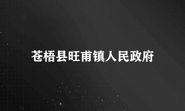 苍梧县旺甫镇人民政府