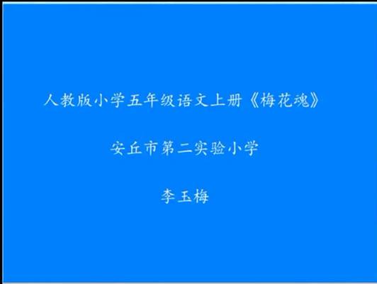 梅花魂（微课）