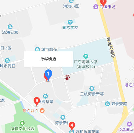 乐华街道（广东省湛江市霞山区辖街道）
