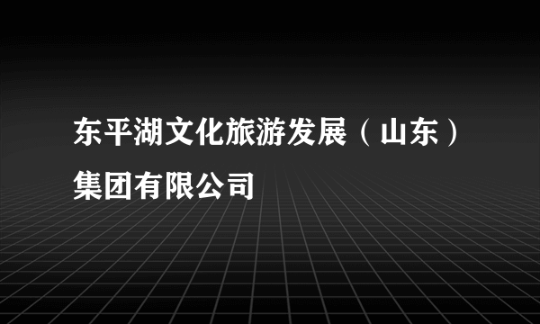 东平湖文化旅游发展（山东）集团有限公司