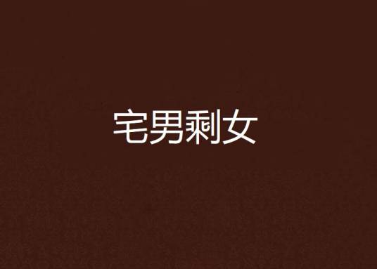 宅男剩女