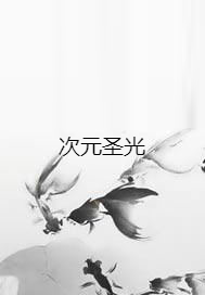 次元圣光