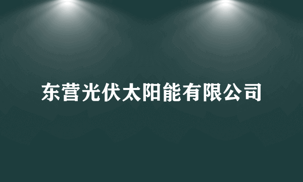 东营光伏太阳能有限公司