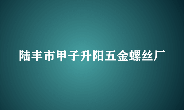 陆丰市甲子升阳五金螺丝厂