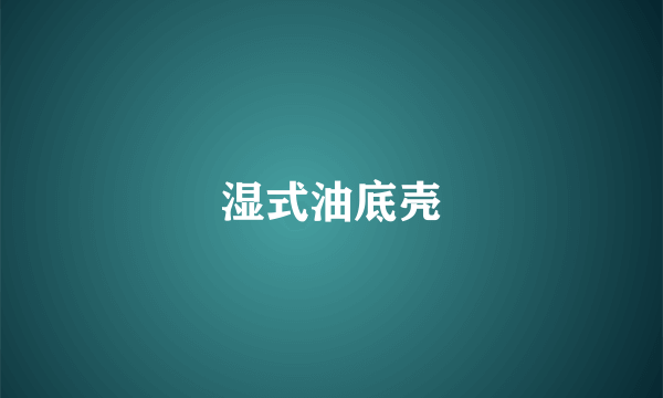 湿式油底壳