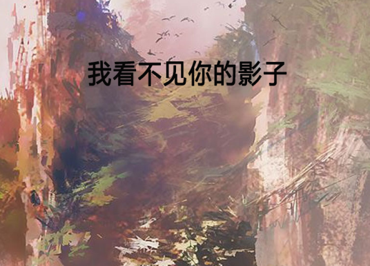 我看不见你的影子