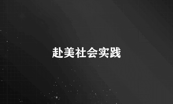 赴美社会实践