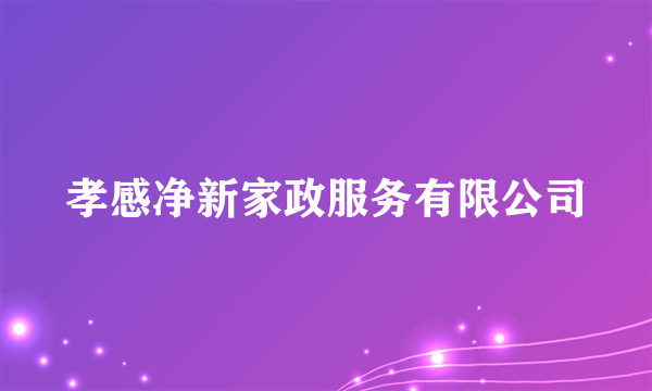 孝感净新家政服务有限公司
