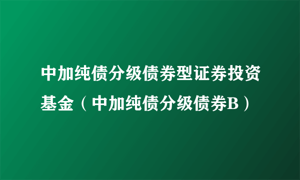 中加纯债分级债券型证券投资基金（中加纯债分级债券B）
